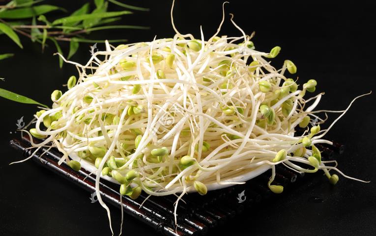 無公害綠色豆芽，怎么生產出來的？全套生產過程如此方便智能